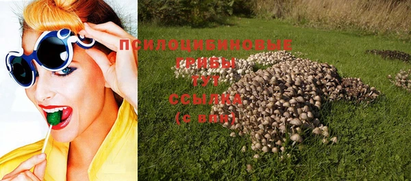 молекула духа Верея