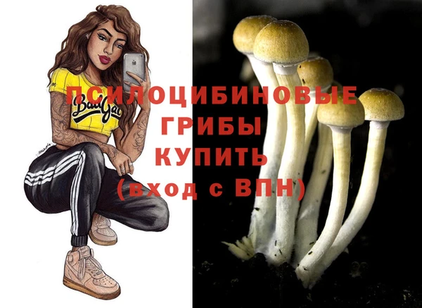 mdpv Верхнеуральск