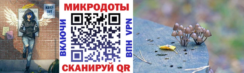 hydra   shop как зайти  Дубна  Псилоцибиновые грибы мухоморы  наркота 